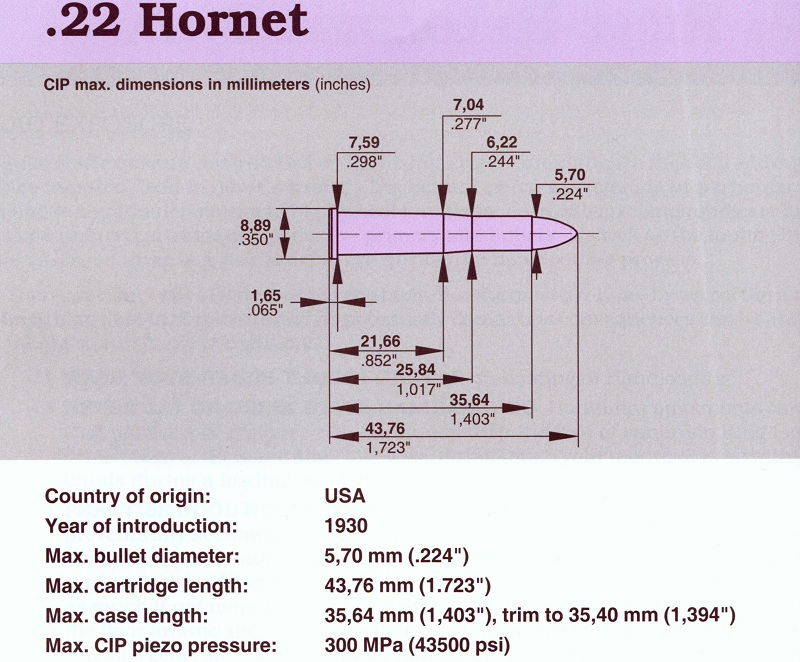 22 Hornet